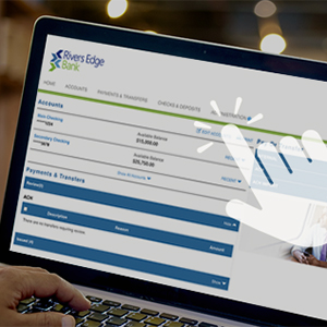 Professional Woman at Computer Business Online